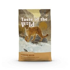 Taste of the Wild begrūdis maistas su upėtakiu ir rūkyta lašiša, 6.6 kg kaina ir informacija | Sausas maistas katėms | pigu.lt
