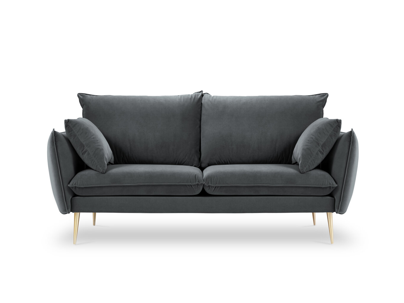 Dvivietė aksominė sofa Milo Casa Elio, pilka/auksinės spalvos kaina ir informacija | Sofos | pigu.lt