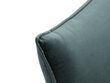 Dvivietė aksominė sofa Milo Casa Elio, žalia/auksinės spalvos цена и информация | Sofos | pigu.lt