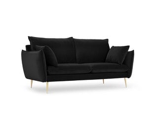 Двухместный бархатный диван Milo Casa Elio, черный/золотистый цена и информация | Диваны | pigu.lt