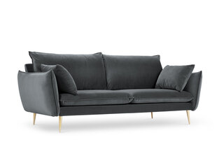 Трехместный бархатный диван Milo Casa Elio, серый/золотистый цвет цена и информация | Диваны | pigu.lt
