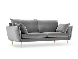 Четырехместный бархатный диван Milo Casa Elio, светло-серый/золотистый цена и информация | Диваны | pigu.lt