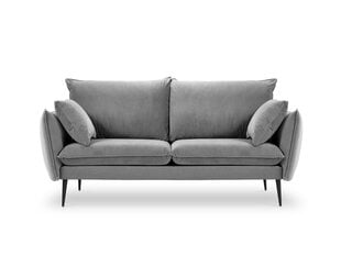 Dvivietė aksominė sofa Milo Casa Elio, šviesiai pilka/juoda kaina ir informacija | Sofos | pigu.lt