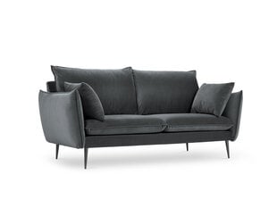 Двухместный бархатный диван Milo Casa Elio, серый/черный цена и информация | Диваны | pigu.lt