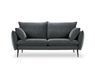 Dvivietė aksominė sofa Milo Casa Elio, pilka/juoda kaina ir informacija | Sofos | pigu.lt