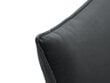 Keturvietė aksominė sofa Milo Casa Elio, pilka/juoda цена и информация | Sofos | pigu.lt