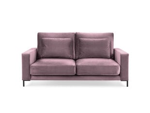 Dvivietė aksominė sofa Interieurs86 Seine, rožinė kaina ir informacija | Sofos | pigu.lt