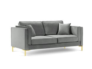 Двухместный бархатный диван Milo Casa Giuseppe, светло-серый цена и информация | Диваны | pigu.lt