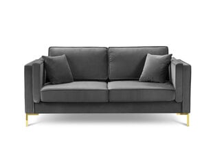 Двухместный бархатный диван Milo Casa Giuseppe, серый цена и информация | Диваны | pigu.lt