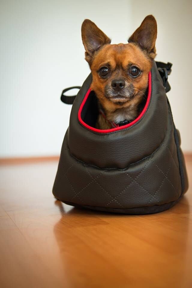 Hobbydog gyvūnų transportavimo krepšys Black, R3, 50x30x32 cm kaina ir informacija | Transportavimo narvai, krepšiai | pigu.lt