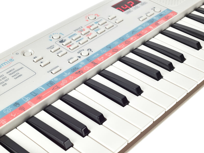 Vaikiškas sintezatorius Yamaha PSS-E30 kaina ir informacija | Klavišiniai muzikos instrumentai | pigu.lt