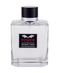 Мужская парфюмерия Power Of Seduction Antonio Banderas EDT (200 ml) (200 ml) цена и информация | Мужские духи | pigu.lt
