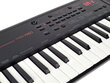 Vaikiškas sintezatorius Yamaha PSS-A50 kaina ir informacija | Klavišiniai muzikos instrumentai | pigu.lt