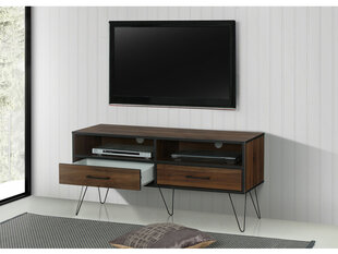 ТВ столик Notio Living Shepard 120, темно-коричневый цена и информация | Тумбы под телевизор | pigu.lt