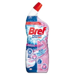 BREF WC Hygiene Gel очиститель Floral, 700 мл цена и информация | Очистители | pigu.lt