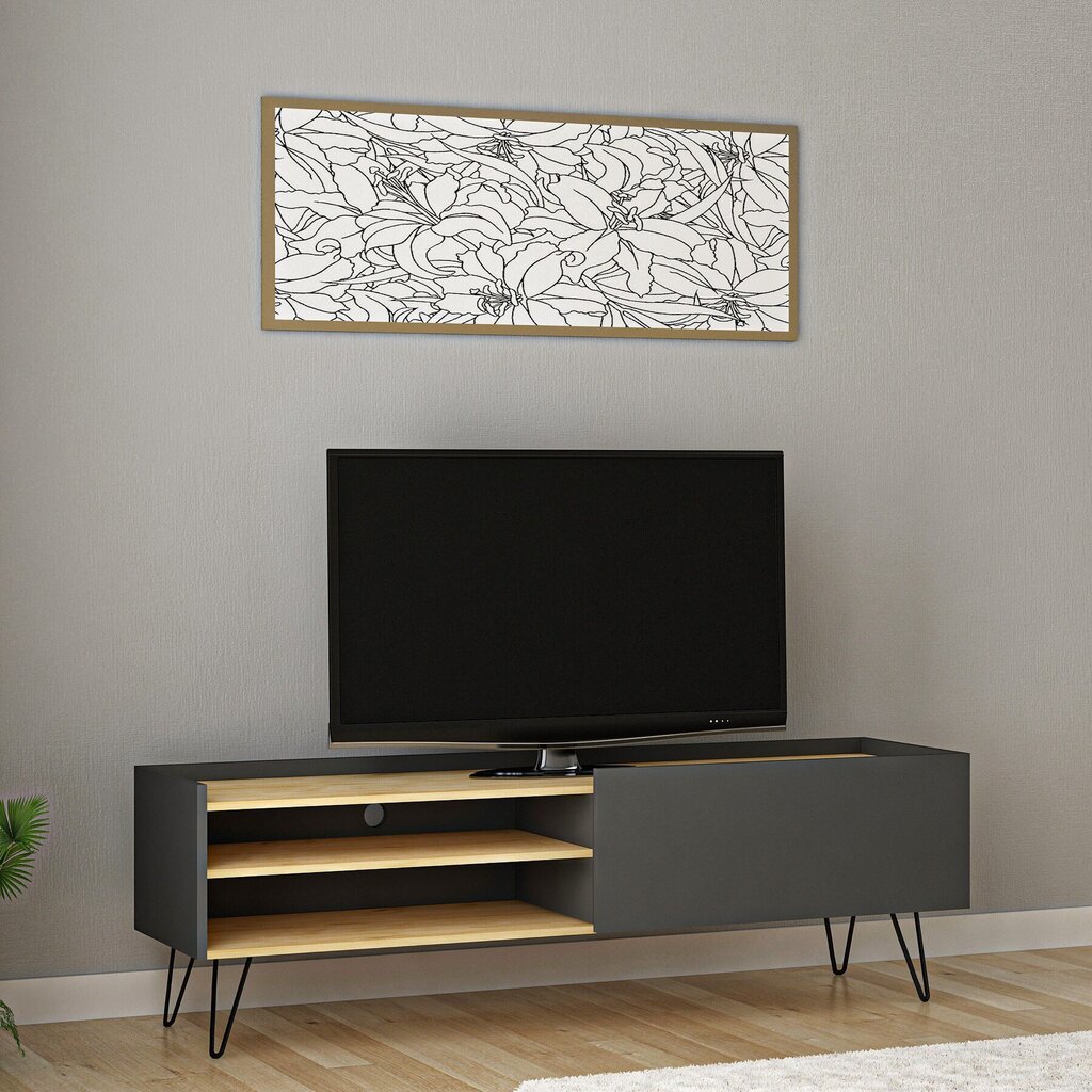 TV staliukas Kalune Design Veronica, ąžuolo spalvos/pilkas kaina ir informacija | TV staliukai | pigu.lt