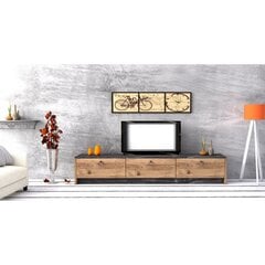 ТВ столик Kalune Design Pega, черный/коричневый цена и информация | Тумбы под телевизор | pigu.lt