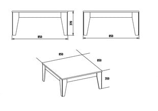 Kavos staliukas Kalune Design Lorenz, rudas/juodas kaina ir informacija | Kavos staliukai | pigu.lt