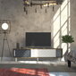 TV staliukas Kalune Design Rob, ąžuolo spalvos/pilkas kaina ir informacija | TV staliukai | pigu.lt