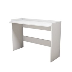 Письменный стол Kalune Design Nalo, белый цена и информация | Компьютерные, письменные столы | pigu.lt