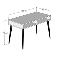 Письменный стол Kalune Design Novo, коричневый цена и информация | Компьютерные, письменные столы | pigu.lt