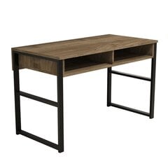 Письменный стол Kalune Design Nove, коричневый цена и информация | Компьютерные, письменные столы | pigu.lt