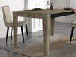 Valgomojo stalas Kalune Design Costa, smėlio spalvos цена и информация | Virtuvės ir valgomojo stalai, staliukai | pigu.lt