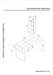 Комплект письменного стола и полки Kalune Design Lost Rafli, коричневый цена и информация | Компьютерные, письменные столы | pigu.lt