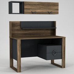 Комплект письменного стола и полки Kalune Design Bumerang, коричневый/серый цена и информация | Компьютерные, письменные столы | pigu.lt