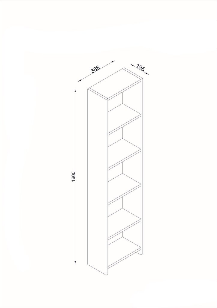 Pastatoma lentyna Kalune Design Göksu D, balta kaina ir informacija | Lentynos | pigu.lt