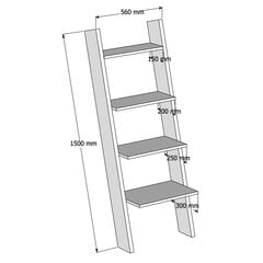 Полка Kalune Design Solid, коричневая цена и информация | Полки | pigu.lt