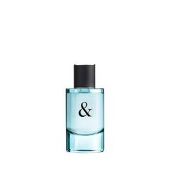 Туалетная вода Tiffany & Co Love Him EDT для мужчин 50 мл цена и информация | Мужские духи | pigu.lt