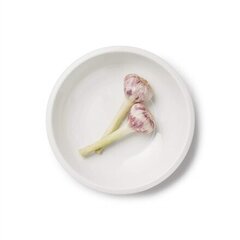 Iittala Raami kauss 22 см белый цена и информация | Посуда, тарелки, обеденные сервизы | pigu.lt