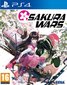 Sakura Wars PS4 kaina ir informacija | Kompiuteriniai žaidimai | pigu.lt