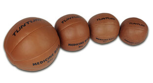 Утяжеленный мяч Tunturi, 3 кг цена и информация | Медболы | pigu.lt