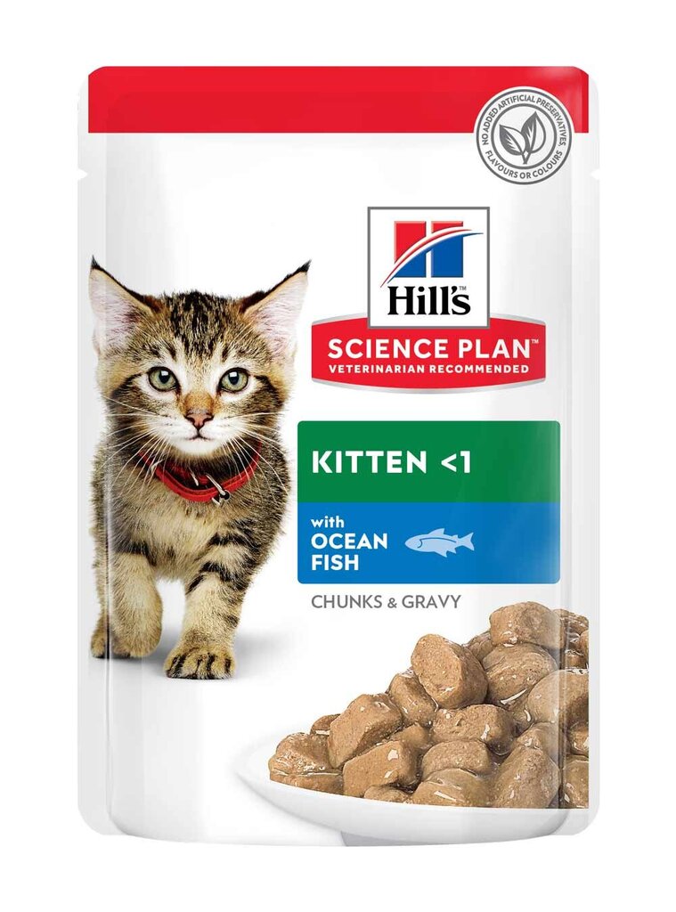 Hill's Science Plan Kitten ėdalas kačiumas su žuvimi, 12x85g цена и информация | Konservai katėms | pigu.lt