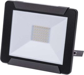 LED prožektorius Ideo, 30 W kaina ir informacija | Žibintuvėliai, prožektoriai | pigu.lt