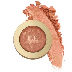 Milani Румяна Baked Blush  - 01 Dolce Pink цена и информация | Бронзеры (бронзаторы), румяна | pigu.lt