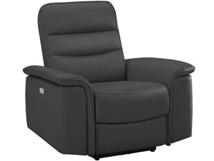 Кресло Notio Living Marshall, коричневое цена и информация | Кресла в гостиную | pigu.lt