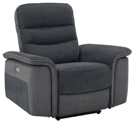 Кресло Notio Living Marshall, темно-серое цена и информация | Кресла в гостиную | pigu.lt