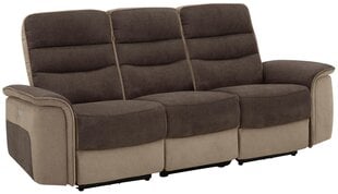 Трехместный диван Notio Living Marshall, коричневый/бежевый цена и информация | Диваны | pigu.lt