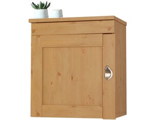 Подвесной кухонный шкафчик Notio Living Tyler, коричневый цена и информация | Кухонные шкафчики | pigu.lt