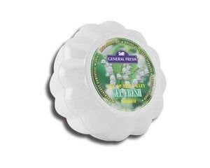 Oro gaiviklis Gel Fresh Lily of the valley 150g цена и информация | Освежители воздуха для салона | pigu.lt