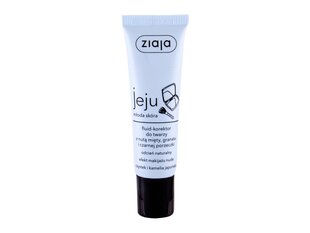 Maskuoklis Ziaja JEJU Fluid, Natural, 30 ml kaina ir informacija | Makiažo pagrindai, pudros | pigu.lt