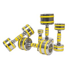 Chromuotas svarmuo inSPORTline Yellsteel 12 kg kaina ir informacija | Svoriai, svarmenys, grifai | pigu.lt