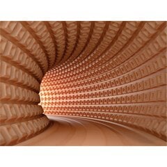 Fototapetai - 3D tunelis цена и информация | Фотообои с инструментом и клеем - Бежевые листья эвкалипта, 400x280 см | pigu.lt