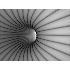 Fototapetai - 3D pilkas tunelis kaina ir informacija | Fototapetai | pigu.lt