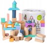 Medinės kaladėlės kibirėlyje EcoToys, 50 d. kaina ir informacija | Žaislai kūdikiams | pigu.lt