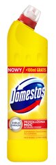 DOMESTOS густое дезинфицирующее чистящее средство Citrus Fresh 750 мл цена и информация | Очистители | pigu.lt