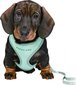 Petnešos su pavadėliu šuniukams Trixie Junior, 26–34 cm/10 mm, žalios kaina ir informacija | Antkakliai, petnešos šunims | pigu.lt